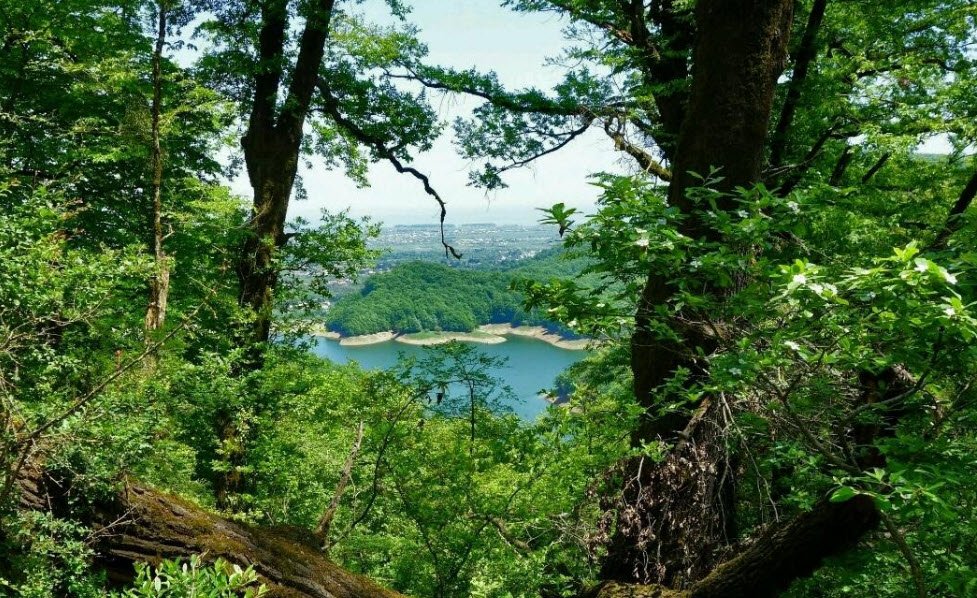 Hirkan National Park, Lankaran Region, Azerbaijan